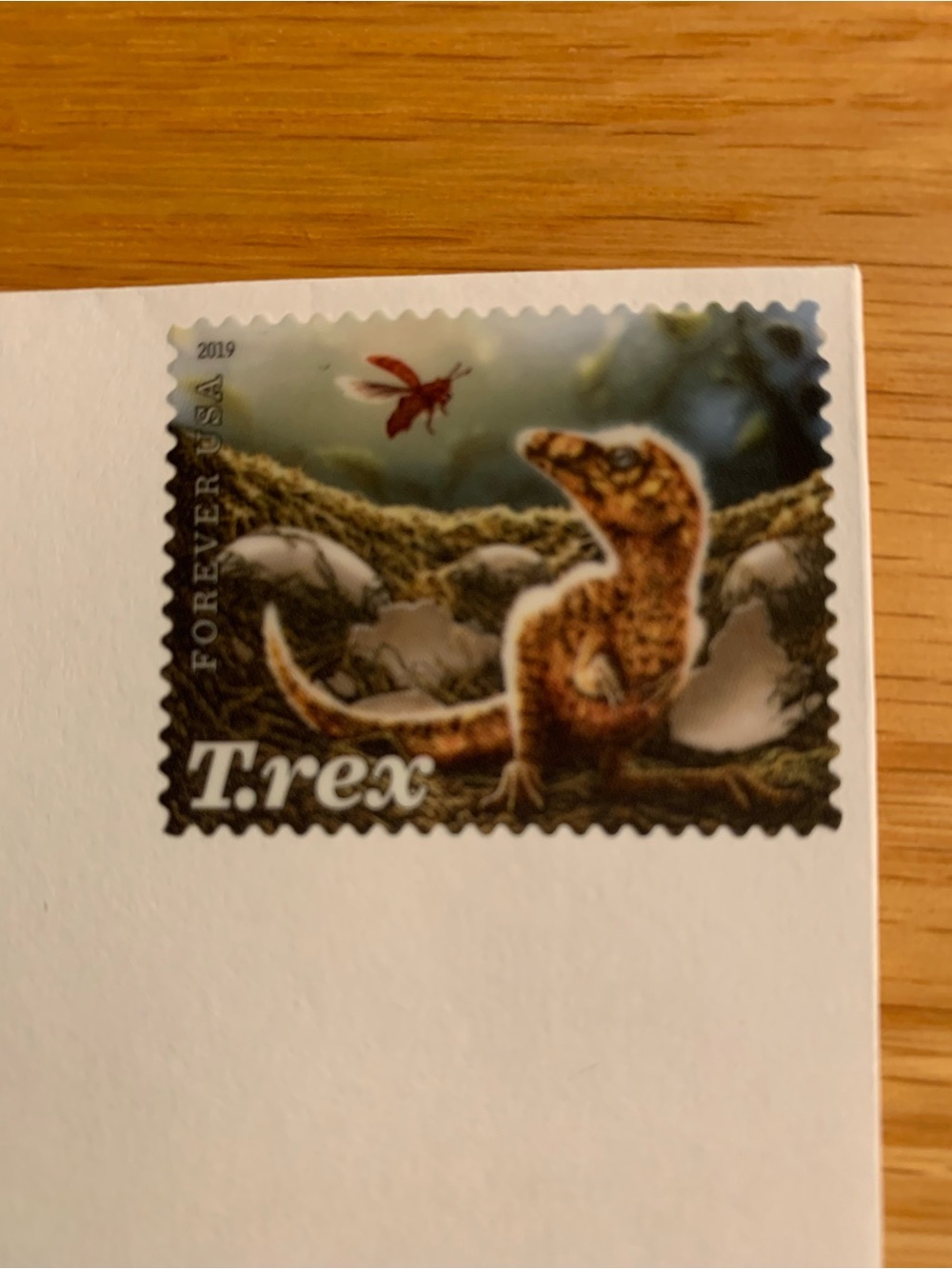 12 Stamped Dinosaur blank notecards - Picture 9 of 10